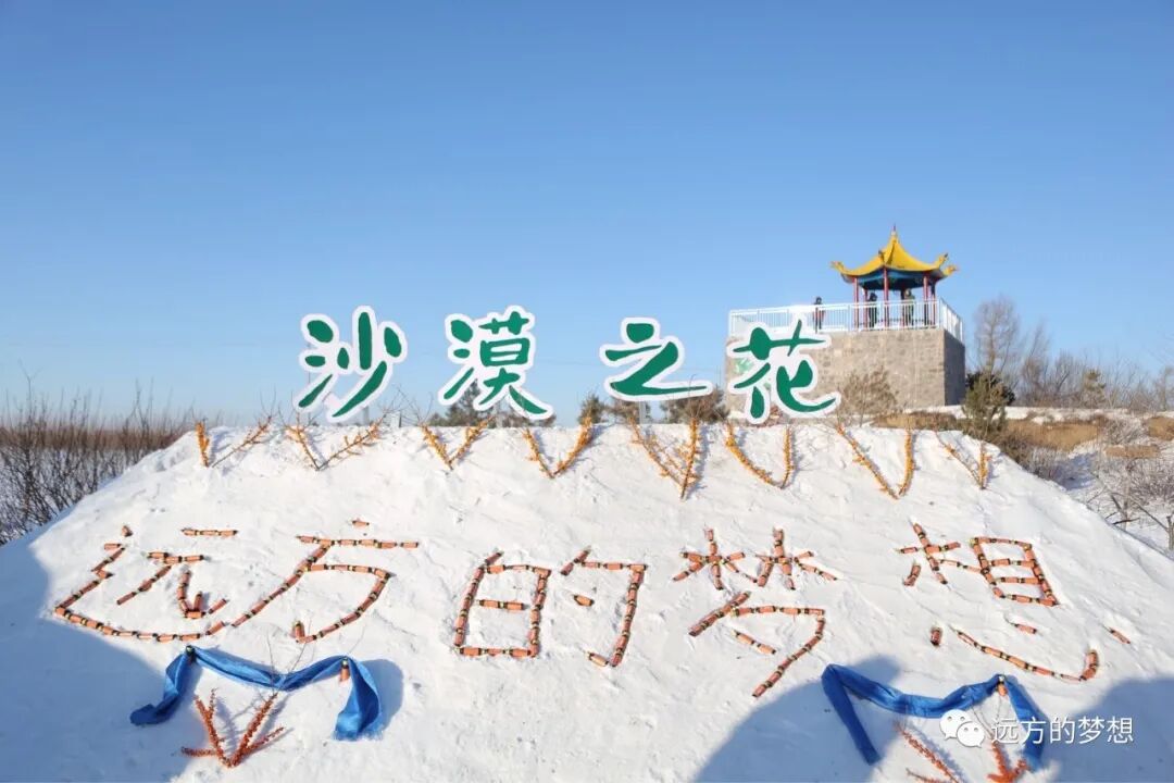赤峰站的所思所想---绿海 - 第1张