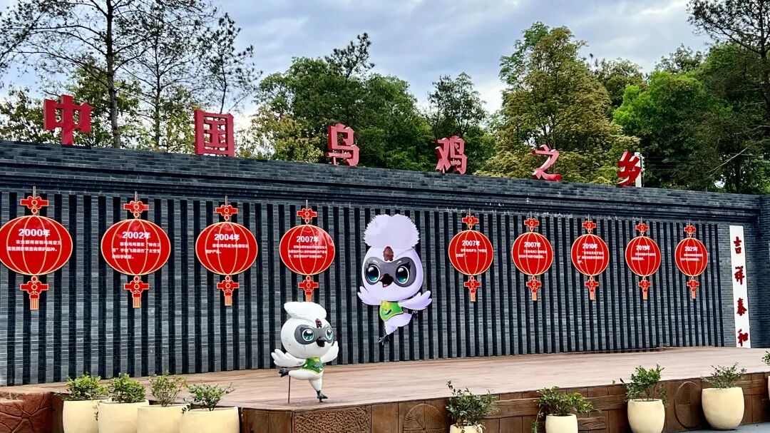 “崇歌店主分享”感悟—-山西陈伟娜 - 第1张