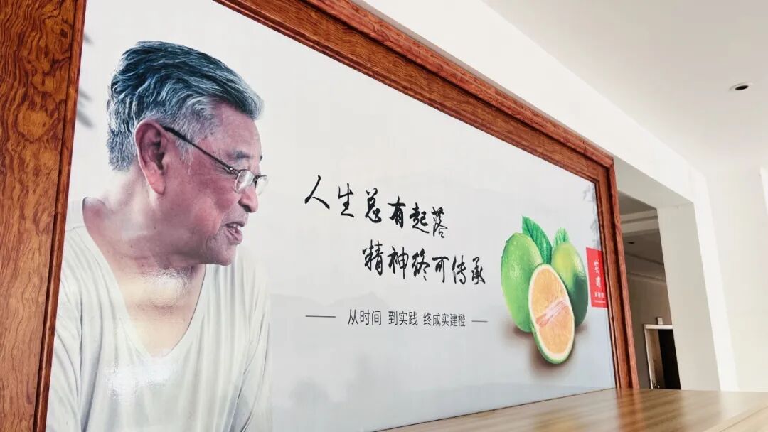 致敬褚时建 - 第1张