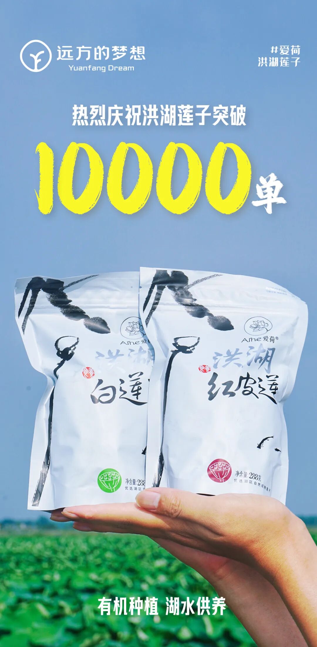 昆明溯源有感 - 第1张
