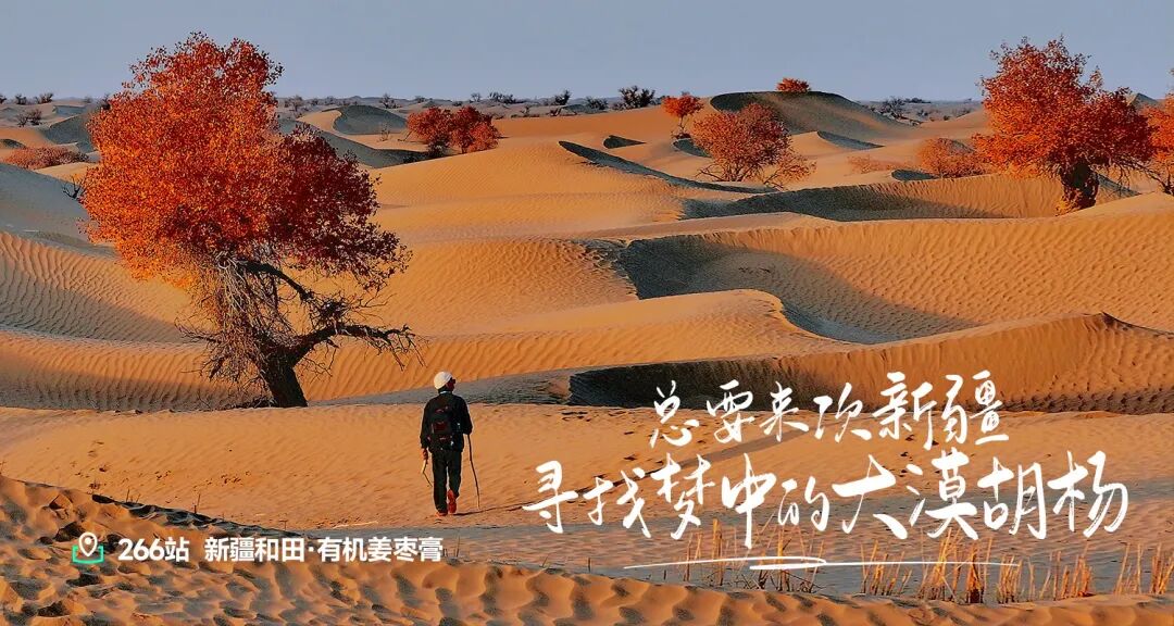 270站金华 - 第3张