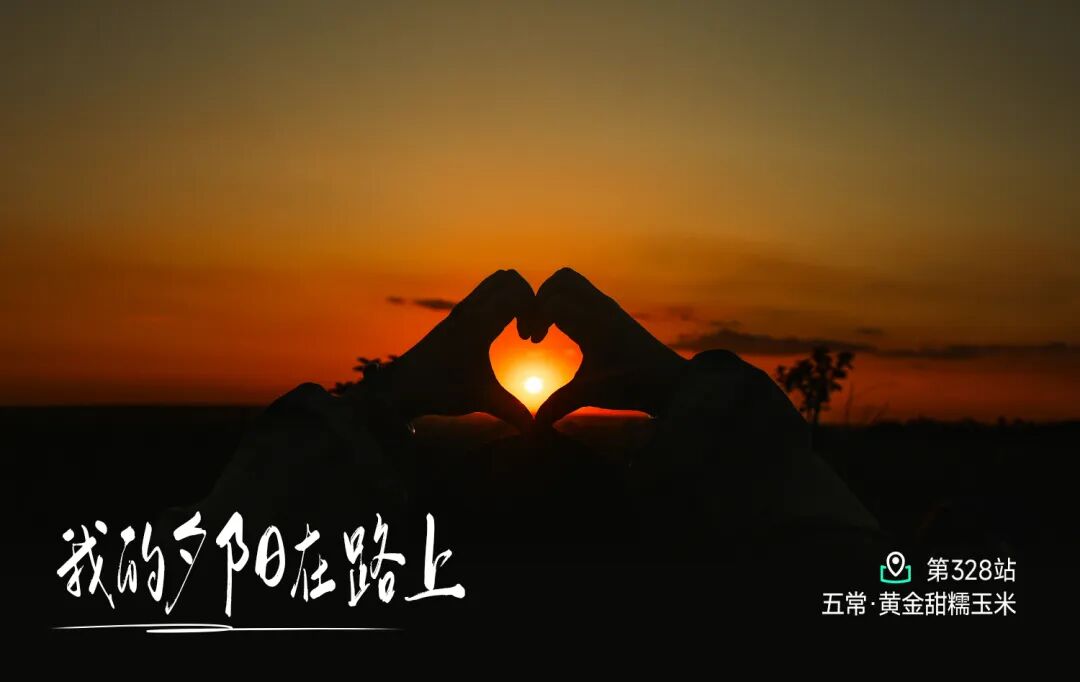 一家做种子26年的企业，下地种玉米了 - 第1张