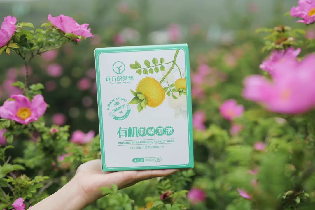 毕节站刺梨的回忆 - 第1张
