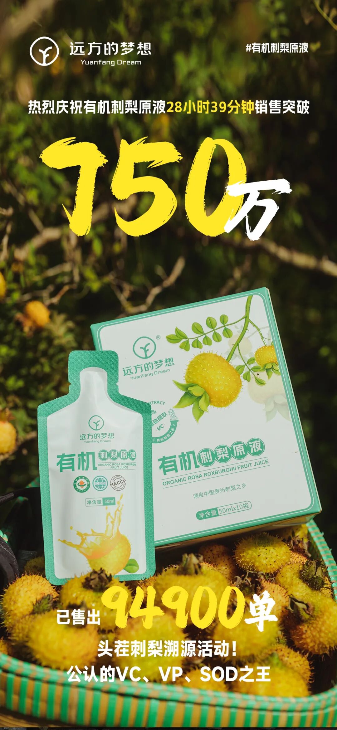 溯源毕节 - 第1张