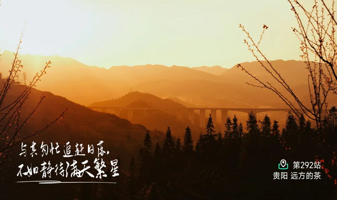 297站普洱 - 第1张