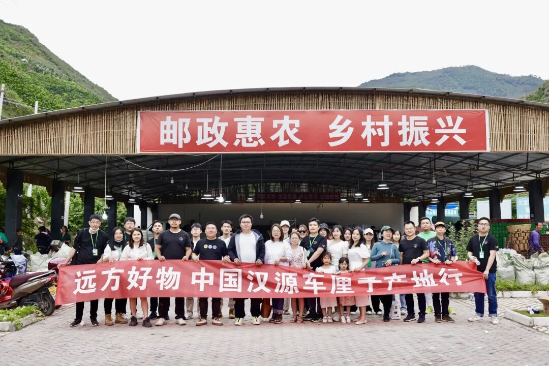 用户失联，链接无效 - 第1张