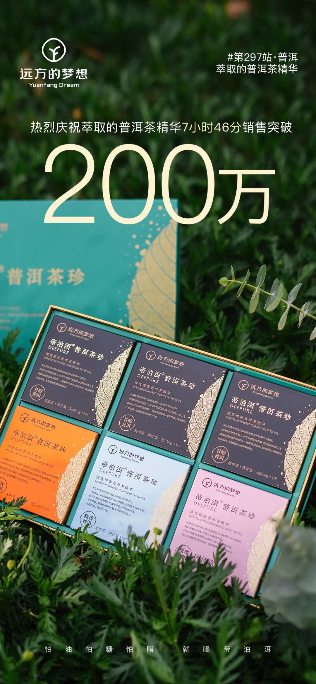 远方好物-帝泊洱茶珍.jpg