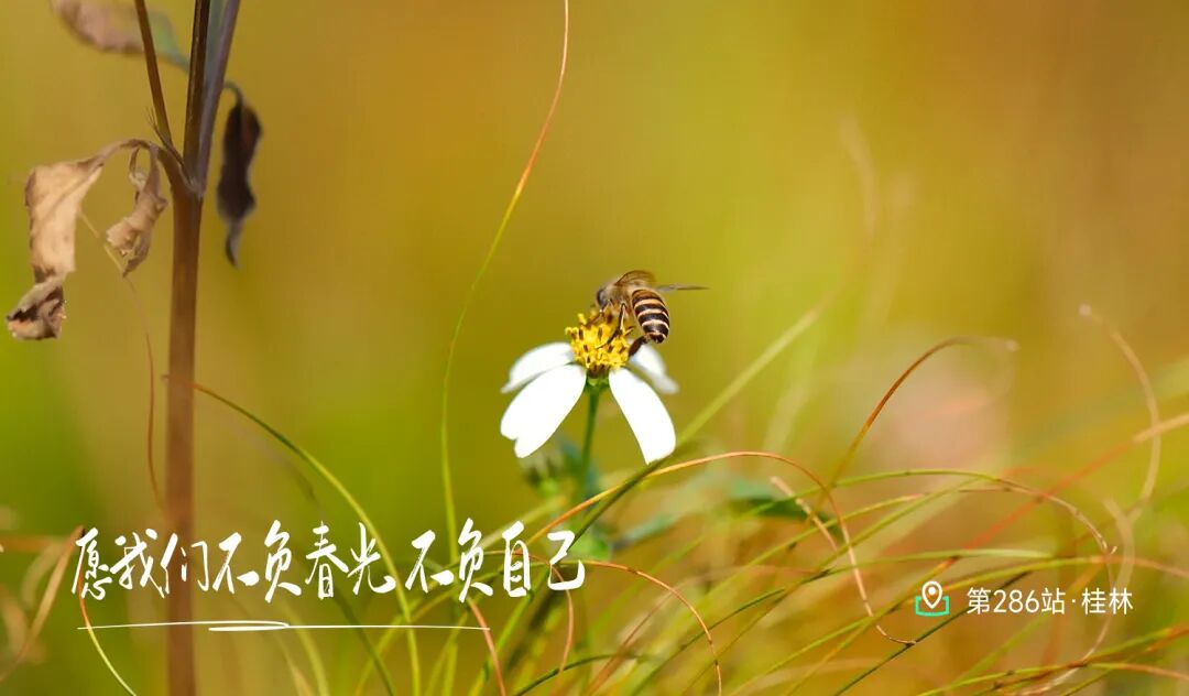 292站贵阳 - 第1张