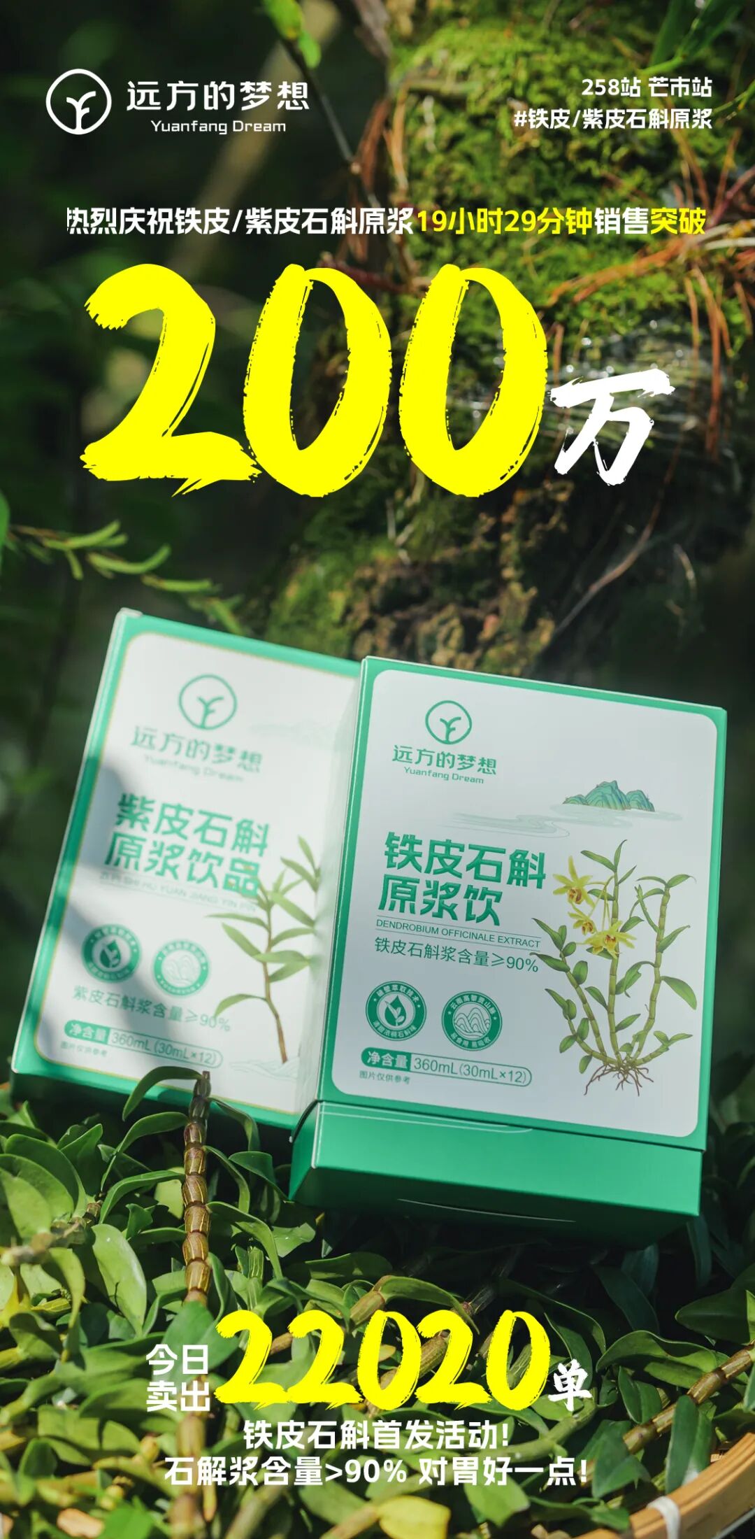 滇西，远方的梦想定制版石斛原浆 - 第1张