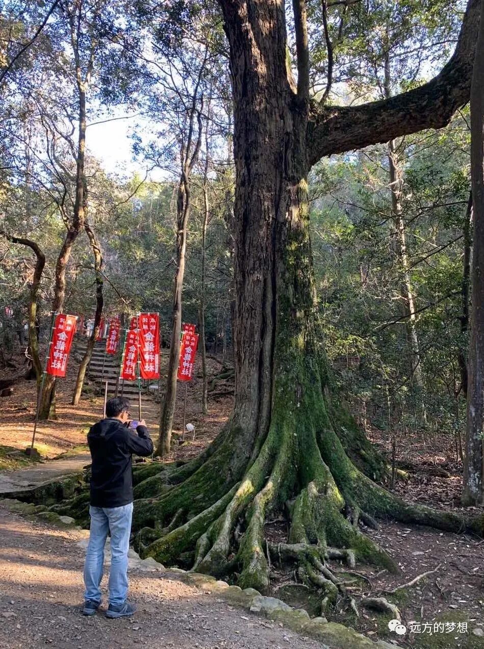 我和旅游群的那些事--尉迟 - 第5张