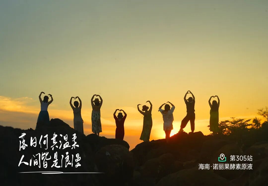 311站上海站 - 第1张