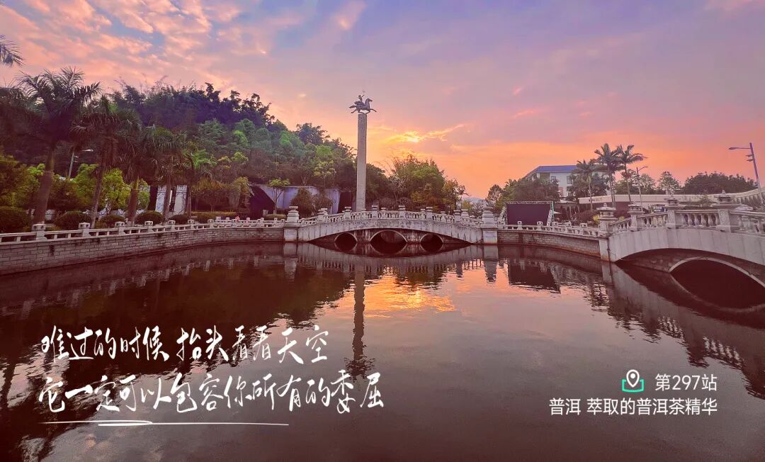远方好物-溯源普洱.jpg