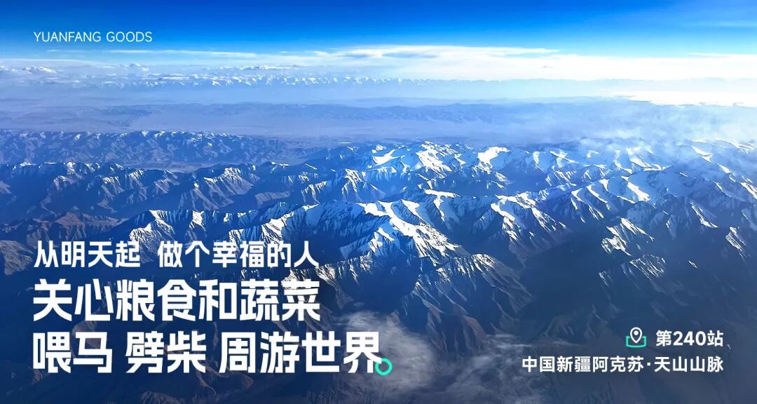 成都感悟，为了心中的理想之光 - 第1张