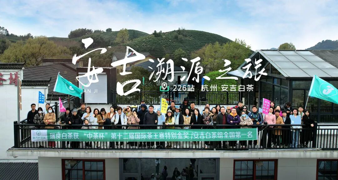 远方的茶.安吉白茶 - 第1张