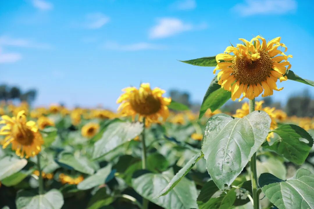 256站毕节站 - 第3张