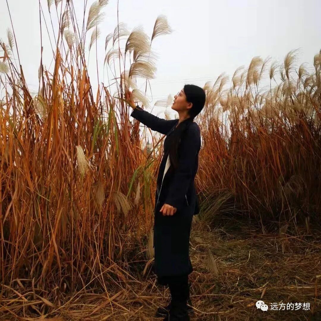仰望星空与脚踏实地--黛薇 - 第1张