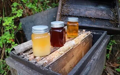 蜂蜜真的很贵吗?