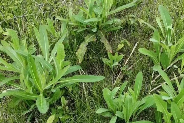  四川南典网络科技有限公司