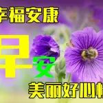 今日最新早上好表情图片大全，愿你事事顺心，一切都美好！