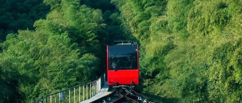 天目湖高管合计减持11.88%，急于套现还是另有原因？