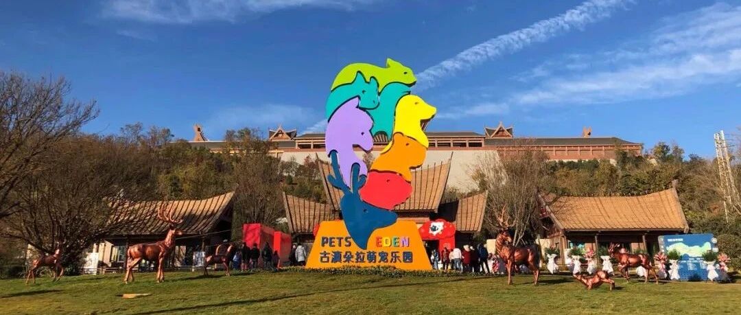 不惧“黑天鹅”  亲子萌宠乐园品牌朵拉爱萌开业首年逆势盈利