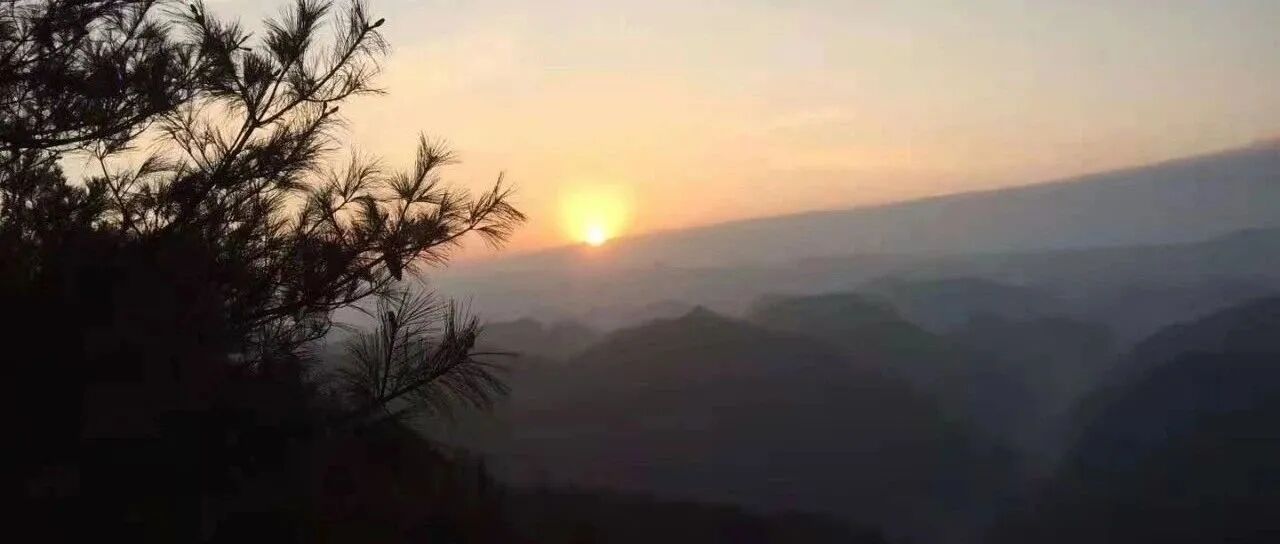 魏小安：艰难的开局