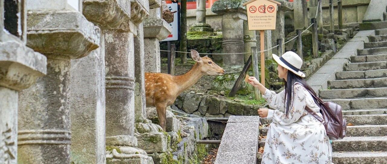 旅游史上最惨的一年？2020年国际旅客骤减10亿人次 亚太地区跌幅84%