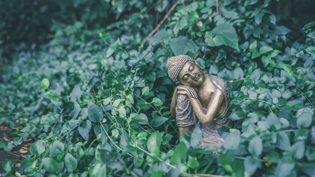 曾博伟 ：“十四五”旅游业高质量发展的十个重大问题