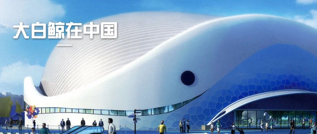 连砸5个跌停板！大连圣亚股价闪崩之谜