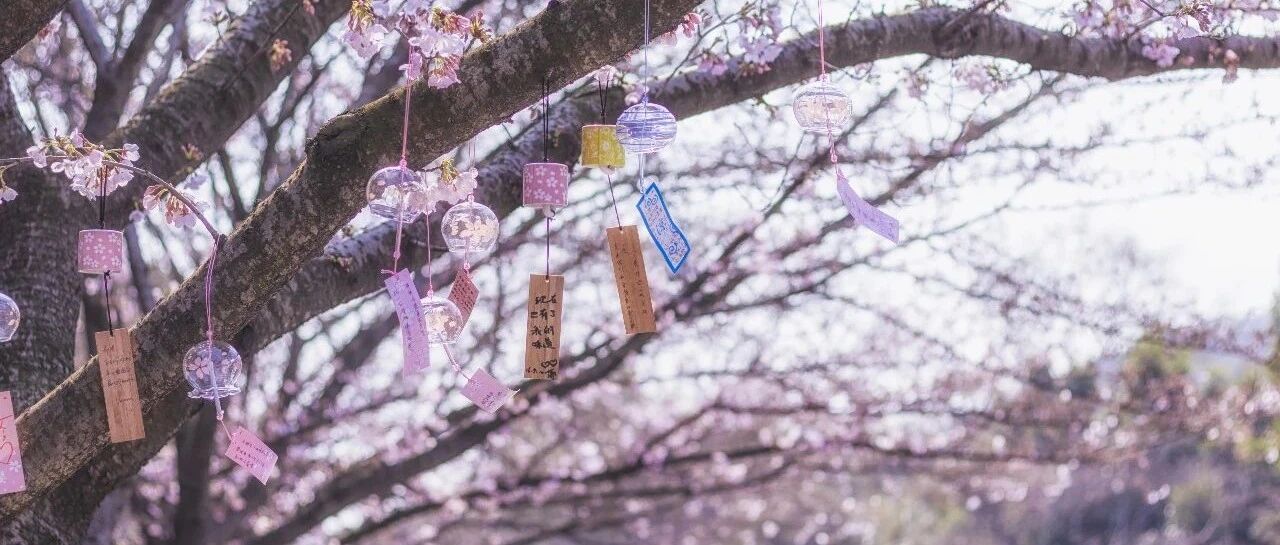 盘点!全国省级旅游集团各有哪些“家底”?[上篇]