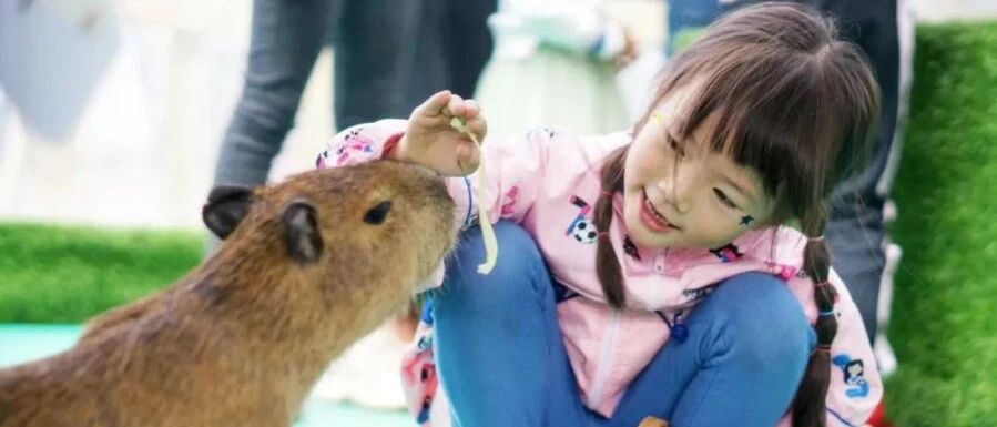 小而美的爆点景区是怎样炼成的？以亲子体验为核引爆微度假