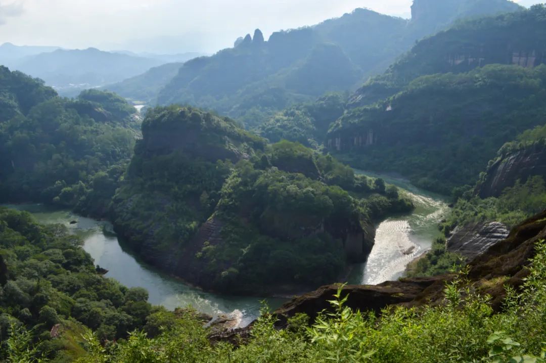 從森林旅遊到生態旅遊，難難難！ 旅遊 第7張