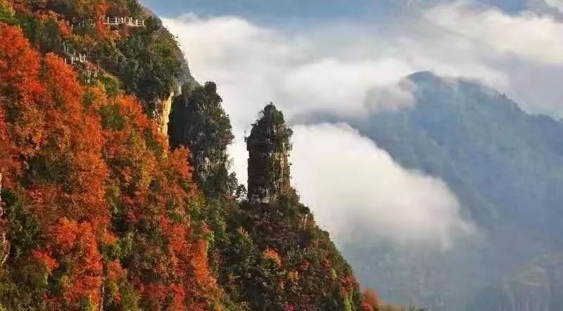 靈秀湖北 | 襄陽旅遊業 揚帆正當時 旅遊 第13張