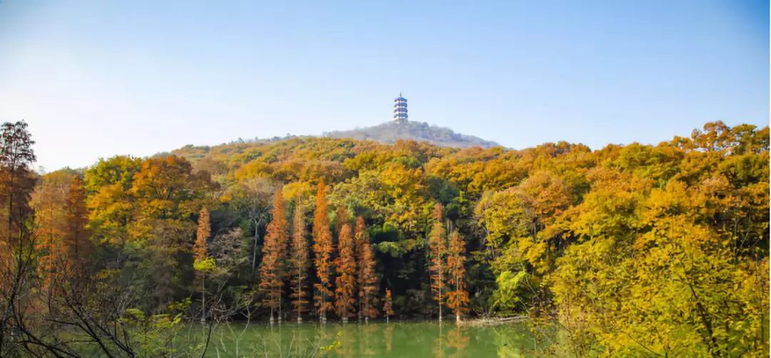 靈秀湖北 | 襄陽旅遊業 揚帆正當時 旅遊 第10張