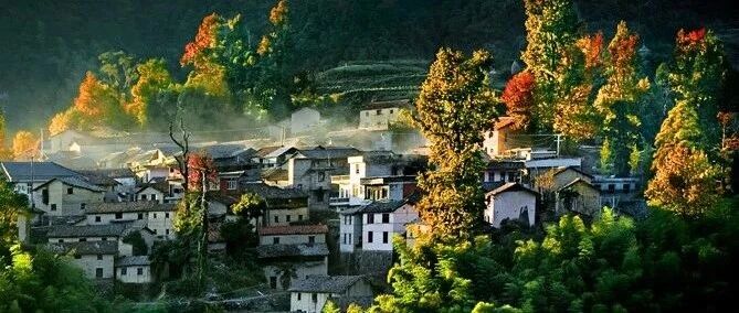 高舜礼：松阳何以成为最具魅力的美丽乡村