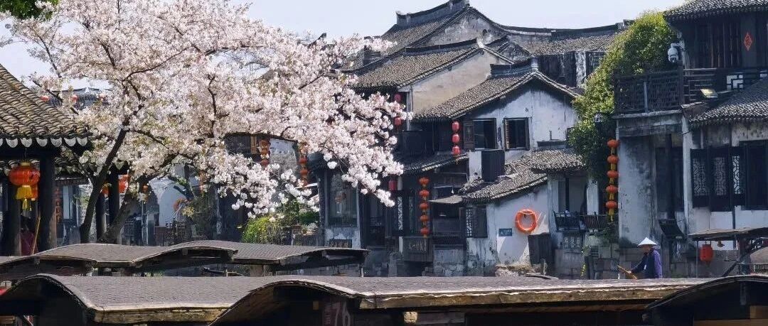 西塘网红酒店获金马荣耀，国风穿越而来