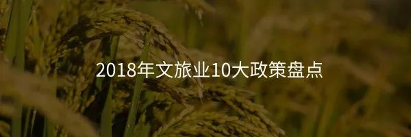 年終策劃 | 2018年旅遊企業「陣亡」名單：他們沒能熬過這場寒冬 旅遊 第6張