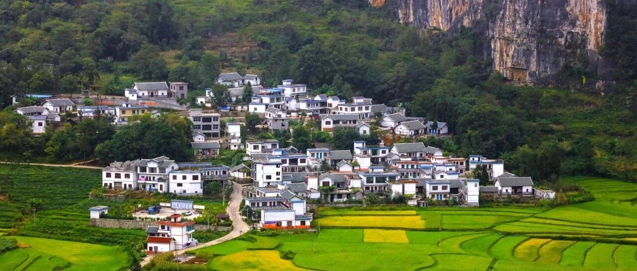 不一样的“十四五”，不一样的乡村旅游