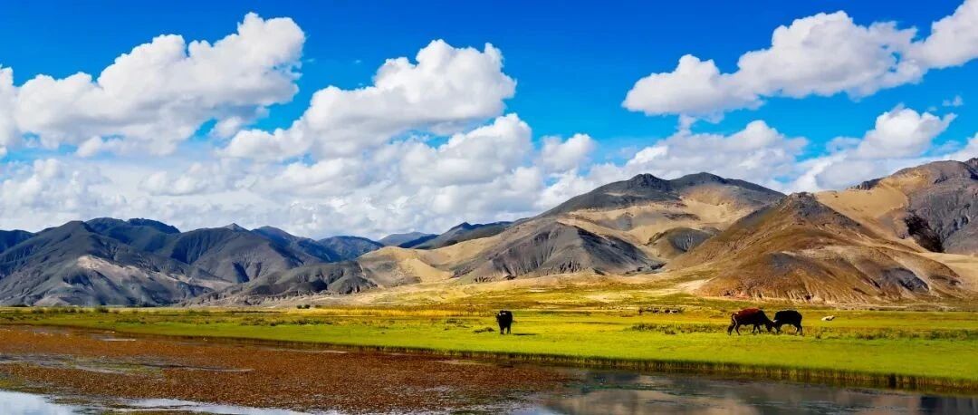 疫情再度“逼停”旅游业背后：上半年多省游客量已超2019年同期