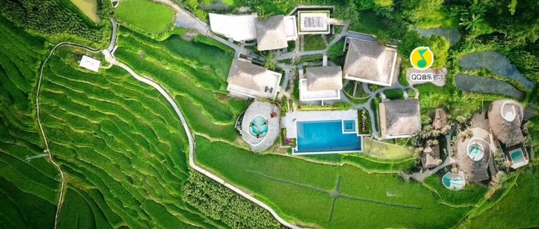 屡败屡战乡伴再启云南市场，跨界打造多业态创新进行时