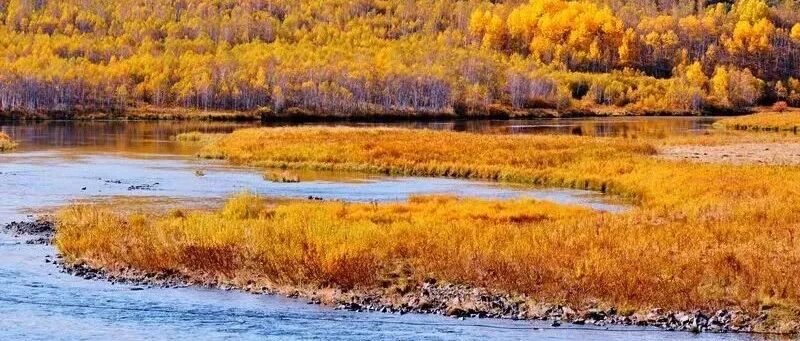 上市旅企2021三季度业绩前瞻：超六成亏损 转型企业危中有机