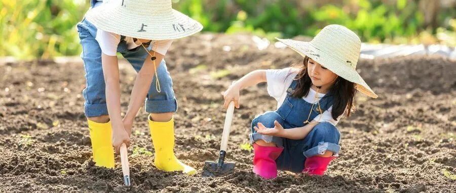 ​研学游喜获乡村通行证 一号文件里还有哪些乡村旅游发展新风？