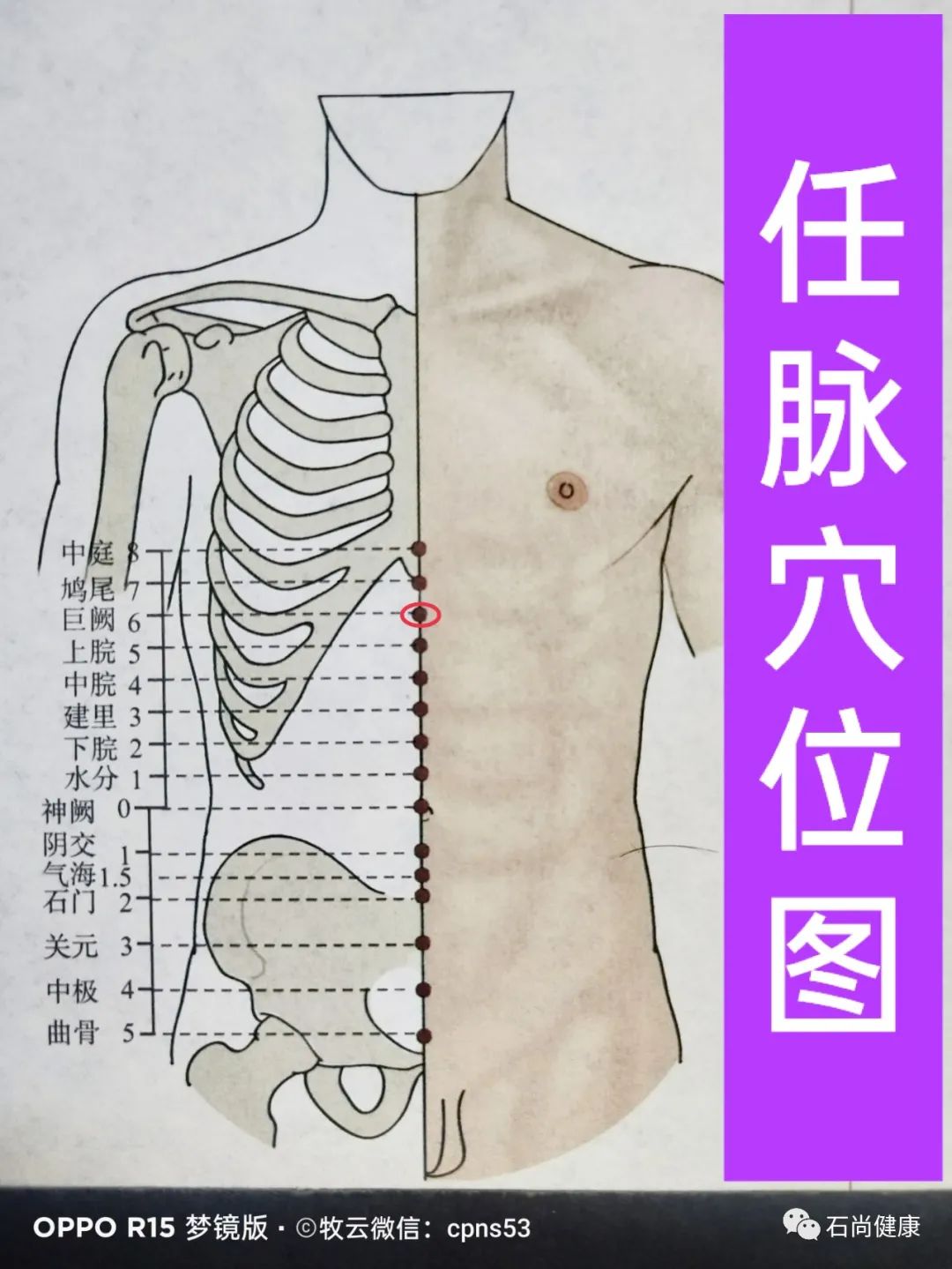 详解——任脉