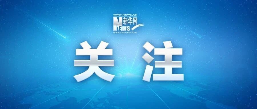 14部门发文，这些行为严查！