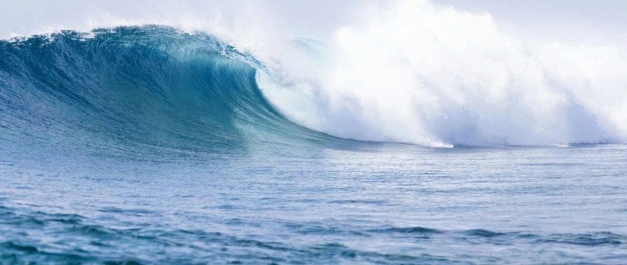 当“巨浪”拍打之后……