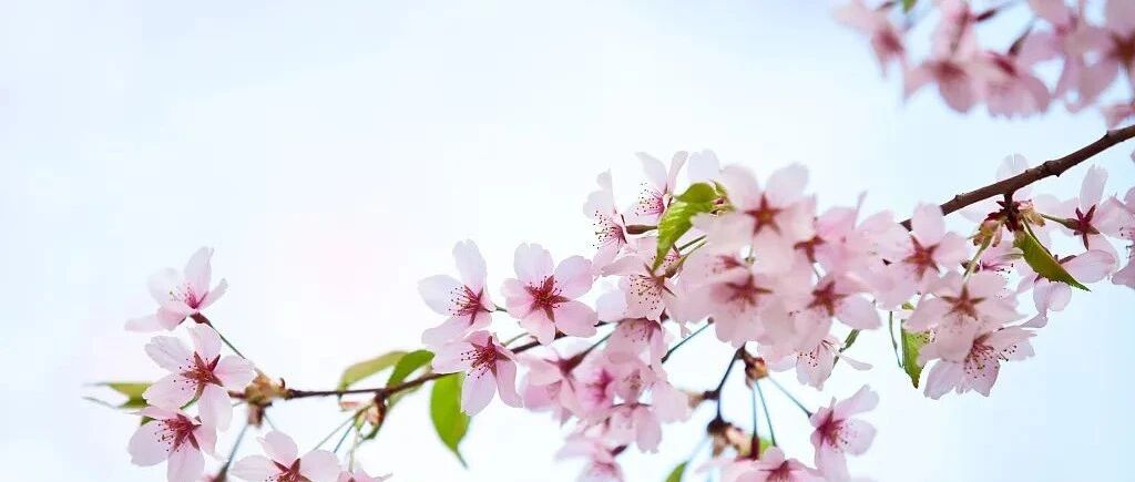 今日春分！想你的夜越来越短，美好的时光越来越长