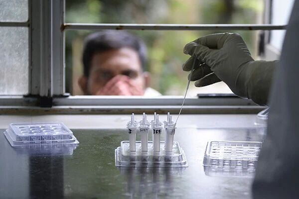 印度连续2日新增确诊病例超8万例，将成全球疫情新爆点