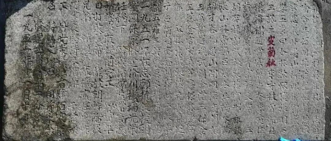 “爸爸，我把你带回家……”