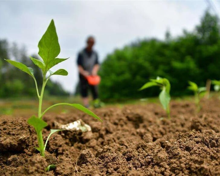 年轻人为什么不愿意务农了