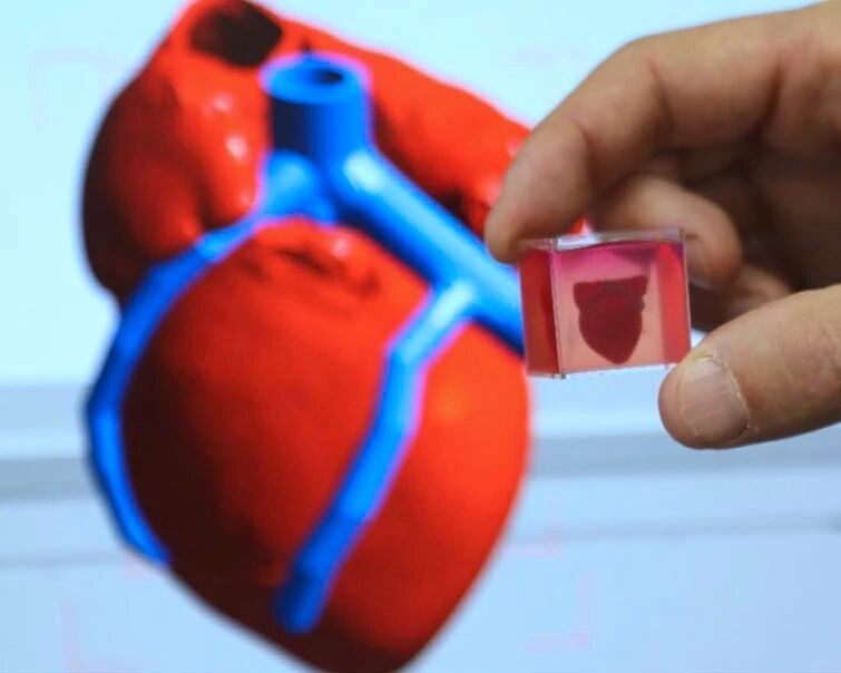 研究证实：初榨橄榄油能预防胆固醇堆积